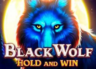 Black Wolf Hold And Win